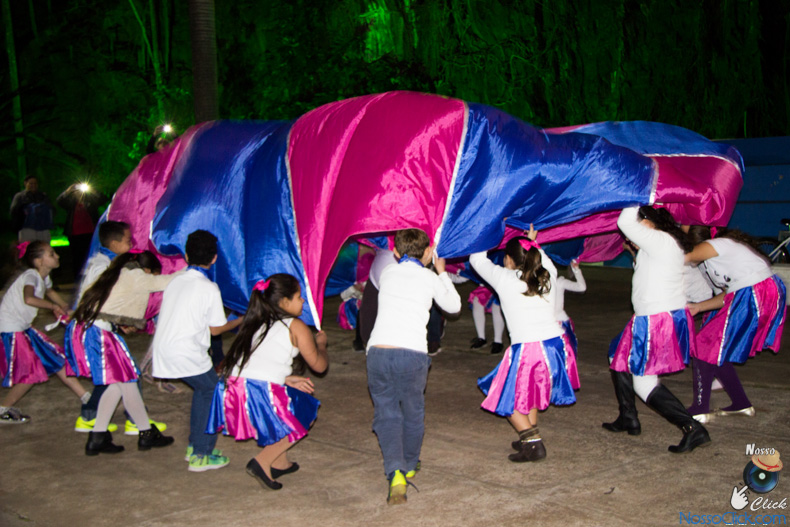 IMG_5295.jpg