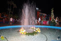 IMG_6436.jpg