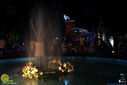 IMG_6441.jpg