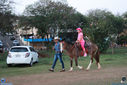 IMG_9120.jpg