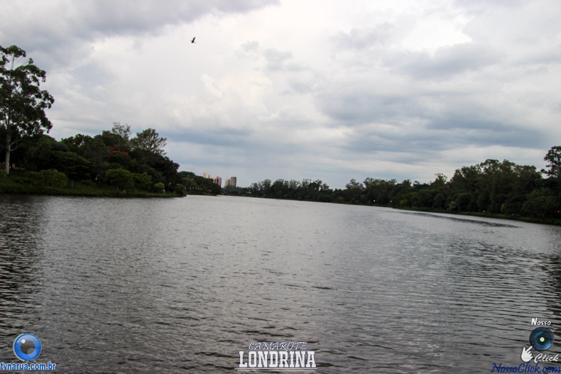 IMG_2480-2.jpg