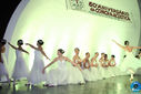 IMG_9566.jpg