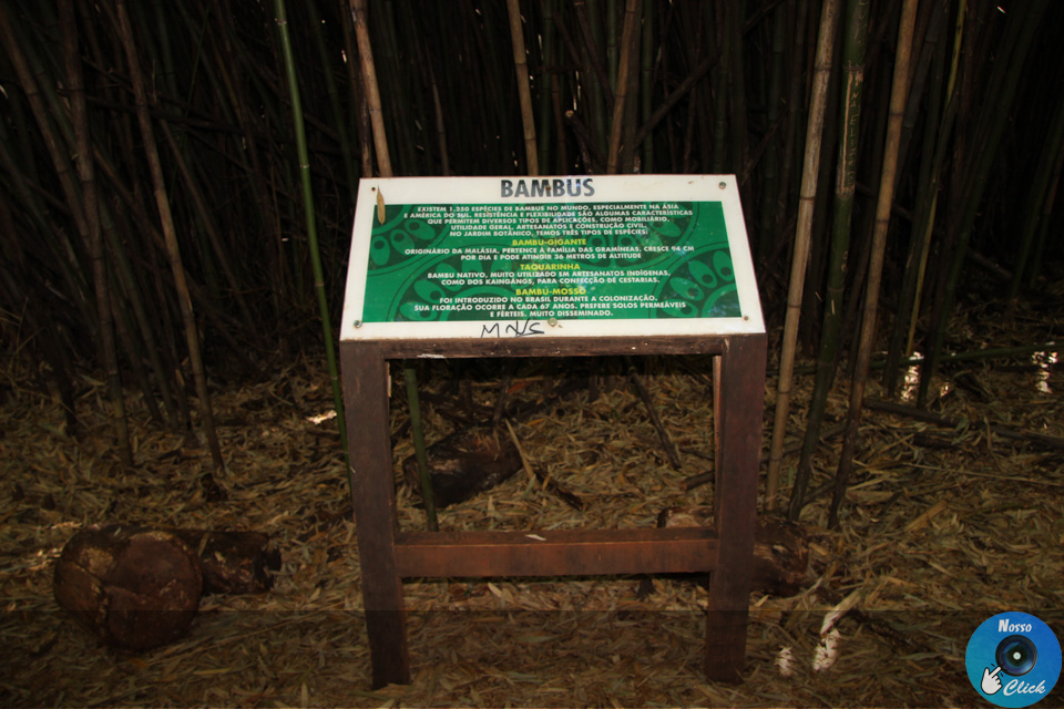 IMG_6662.jpg