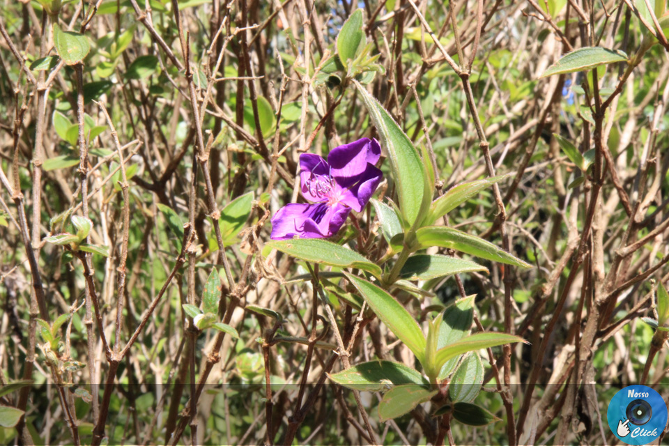 IMG_6679.jpg