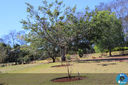 IMG_6592.jpg