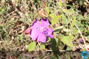IMG_6681.jpg