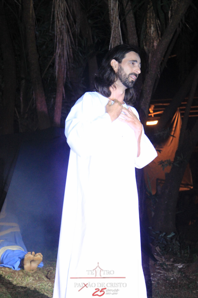 IMG_2126.jpg