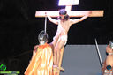 IMG_2639.jpg