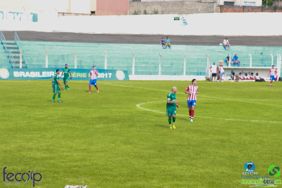 IMG_8976.jpg
