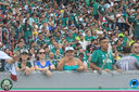 Filename=IMG_9980.jpg
Filesize=358KiB
Dimensions=960x640
Date added=Nov 19, 2018 IMG_9980.jpg