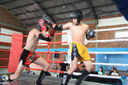 IMG_2994.jpg