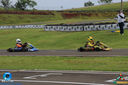 IMG_3981.jpg