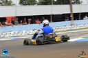 IMG_4016.jpg