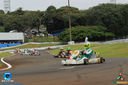 IMG_4031.jpg