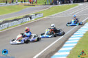 IMG_4454.jpg