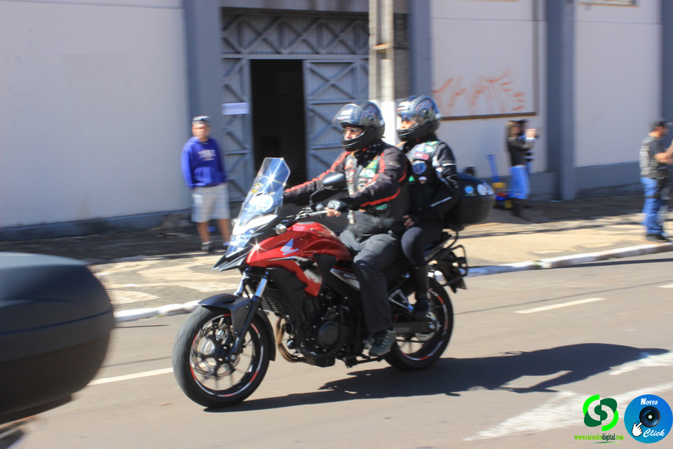IMG_8153.jpg