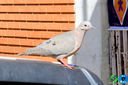 IMG_8122.jpg