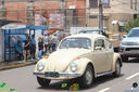 IMG_5252.jpg