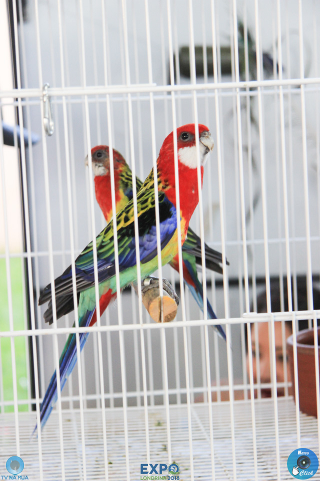 IMG_7930.jpg