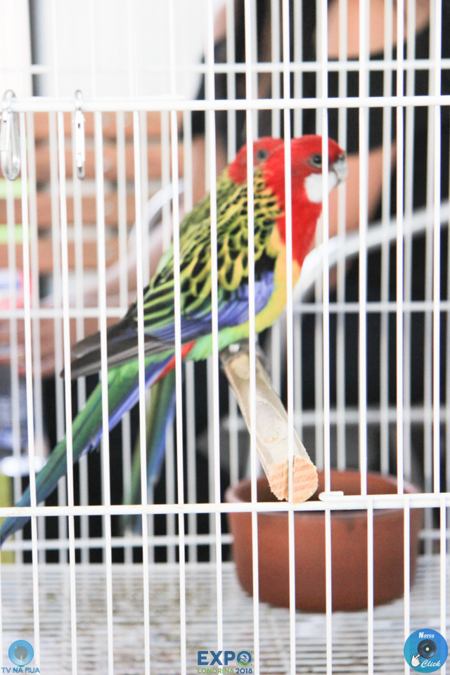 IMG_7933.jpg