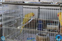 IMG_7929.jpg