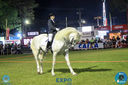 Filename=IMG_8123.jpg
Filesize=343KiB
Dimensions=960x640
Date added=Apr 10, 2018 IMG_8123.jpg