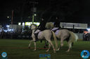 IMG_8146.jpg