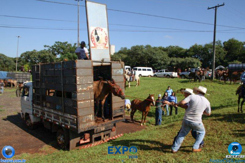 11-03-2018_Cavalgada_Expo_Londrina_081.jpg