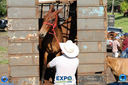 11-03-2018_Cavalgada_Expo_Londrina_080.jpg