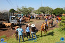 11-03-2018_Cavalgada_Expo_Londrina_094.jpg