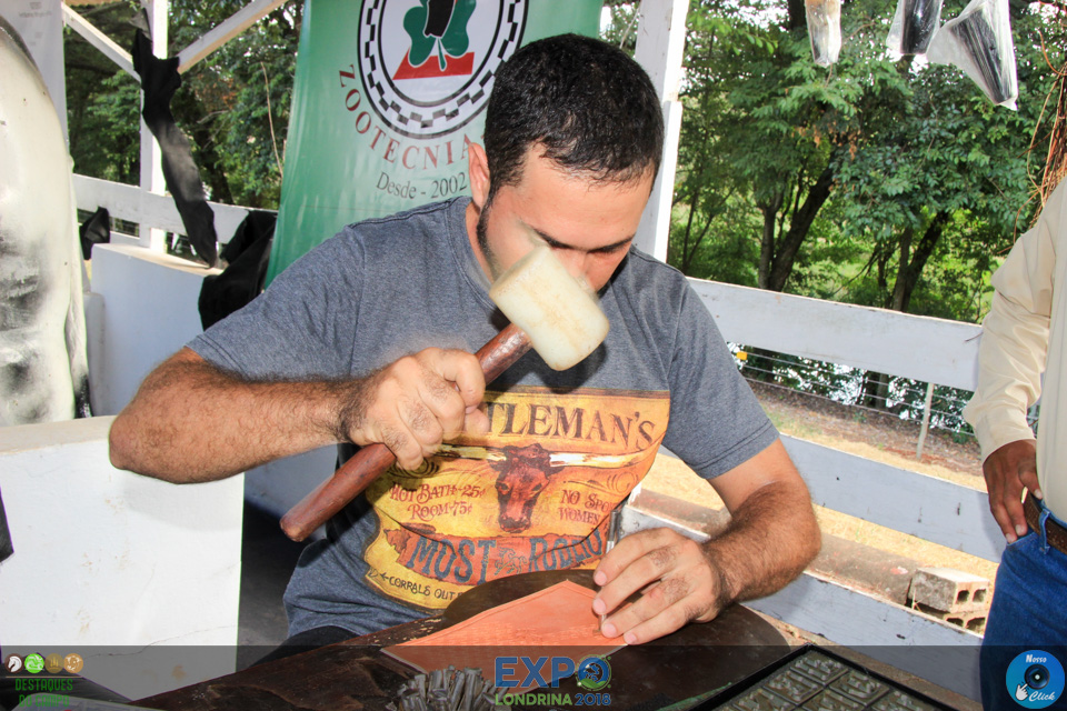 IMG_9105.jpg