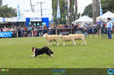 Filename=IMG_0100.jpg
Filesize=382KiB
Dimensions=960x640
Date added=Apr 16, 2018 IMG_0100.jpg