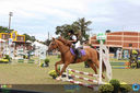 15-04-2018_ExpoLondrina_Final_do_Hipismo_18.jpg