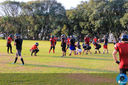 IMG_9789.jpg