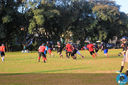 IMG_9801.jpg