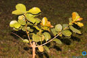 IMG_7095.jpg