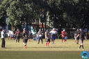 IMG_8841.jpg