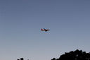 IMG_5029.jpg