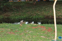 IMG_9960.jpg