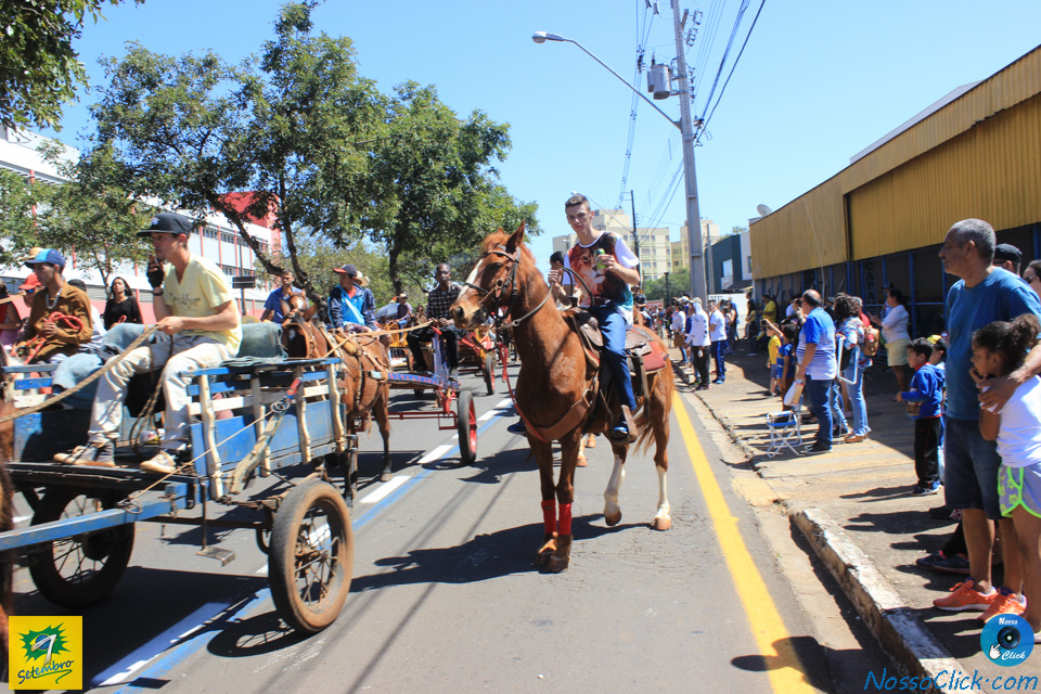 JIMG_0408.jpg