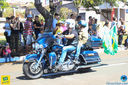 JIMG_0252.jpg