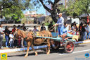 JIMG_0458.jpg