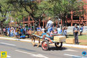 JIMG_0459.jpg