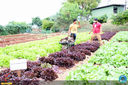 Filename=IMG_1599.jpg
Filesize=400KiB
Dimensions=960x640
Date added=Jun 13, 2018 IMG_1599.jpg