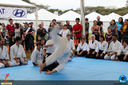 Filename=IMG_1732.jpg
Filesize=291KiB
Dimensions=960x640
Date added=Jun 13, 2018 IMG_1732.jpg