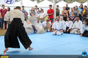 Filename=IMG_1737.jpg
Filesize=262KiB
Dimensions=960x640
Date added=Jun 13, 2018 IMG_1737.jpg