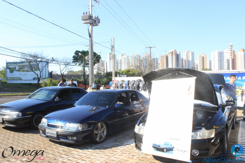 IMG_9727.jpg