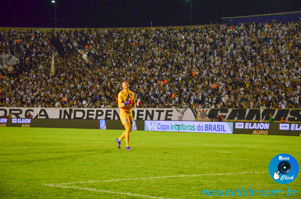 DSC_8475.jpg