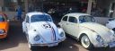 Filename=04_maio_Andira_432.jpg
Filesize=122KiB
Dimensions=960x432
Date added=May 04, 2025 04_maio_Andira_432.jpg