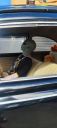 Filename=04_maio_Andira_546.jpg
Filesize=189KiB
Dimensions=922x2048
Date added=May 04, 2025 04_maio_Andira_546.jpg